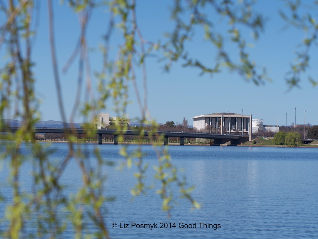 National Library of Australia in Canberra by Liz Posmyk