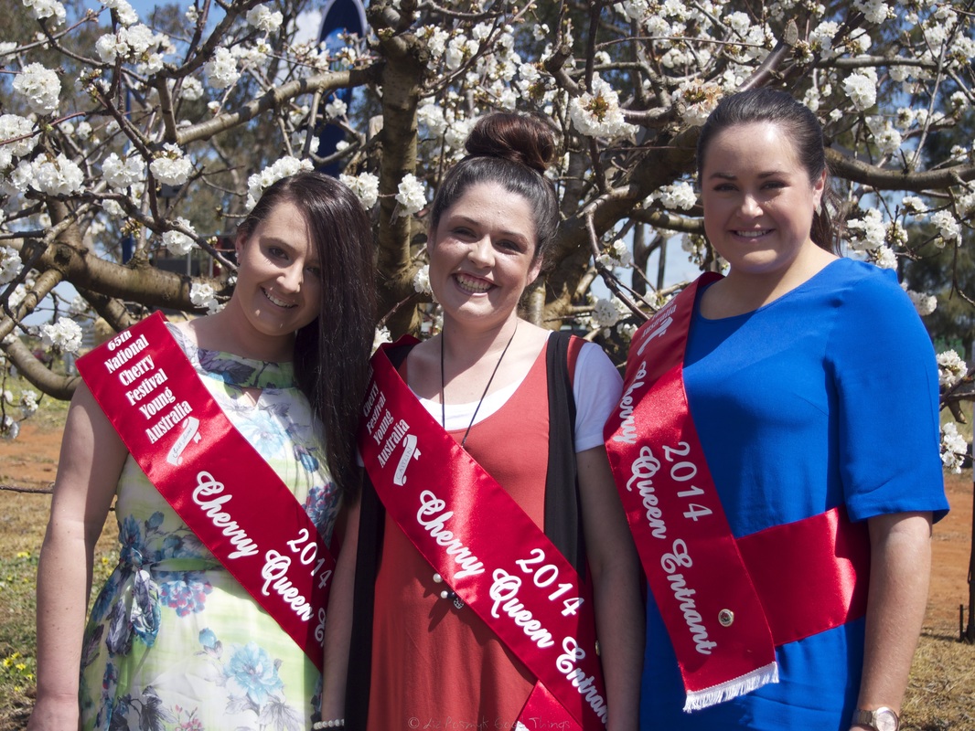 Emily Hardy, Caitlin Muller and Jessica Saines, 2014 Cherry Queen entrants 65th National Cherry Festival Young NSW
