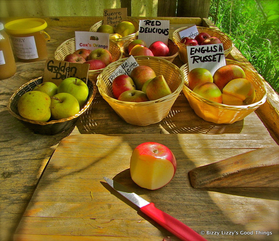Autumn and a visit to Pialligo Apples II by Liz Posmyk