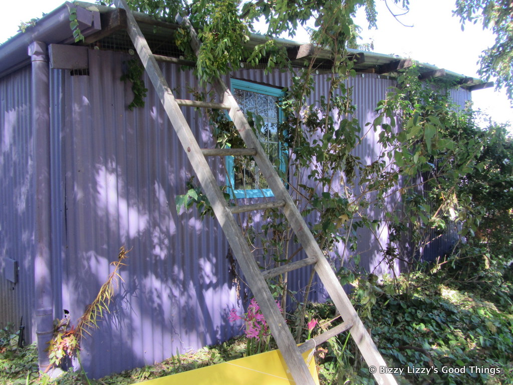 Ladder and shed in the apple orchard by Liz Posmyk Good Things