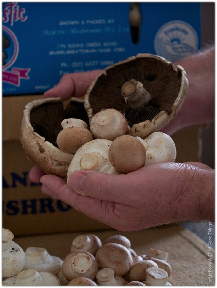 Locally grown mushrooms ACT by Liz Posmyk