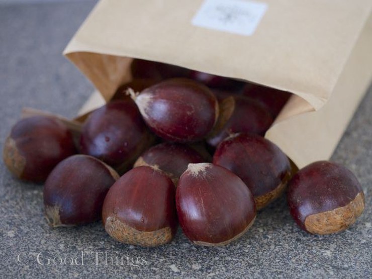 Sassafras chestnuts grown near Bungendore NSW - photo Liz Posmyk Good Things 