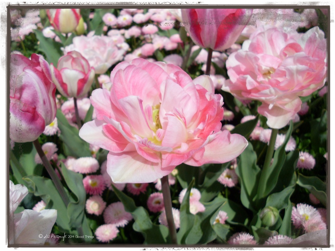 Pretty in pink at Floriade 