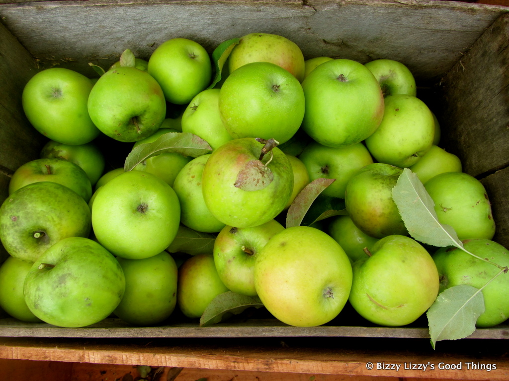 Apples by Liz Posmyk