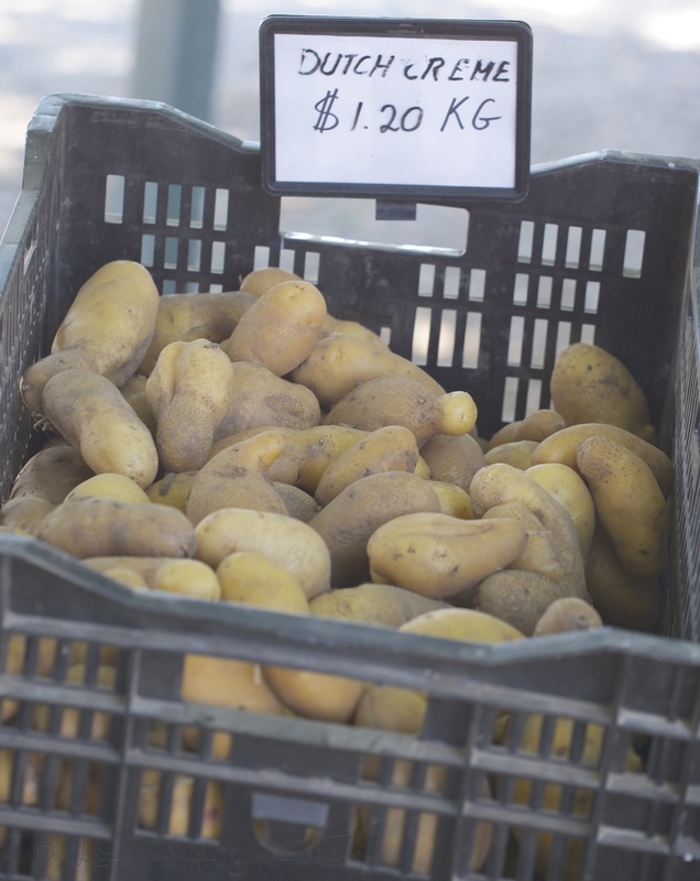 Dutch Creme Potatoes at the Murrumbateman Village Market
