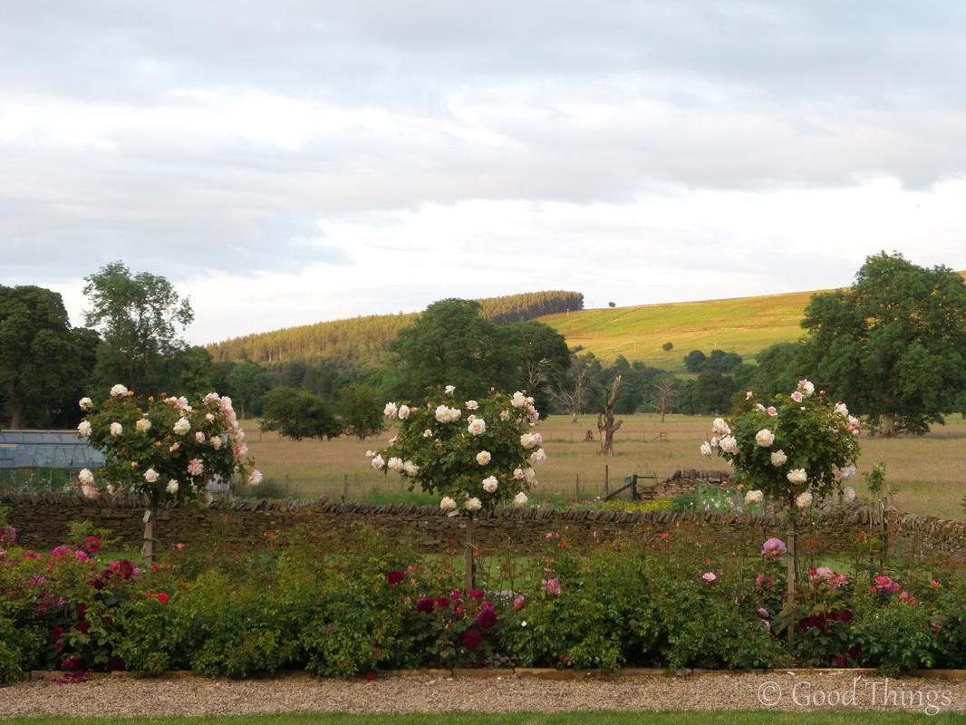 Roses in the garden at the Lord Crewe Arms with vistas to the hills - in Blanchland County Durham - photo Liz Posmyk Good Things