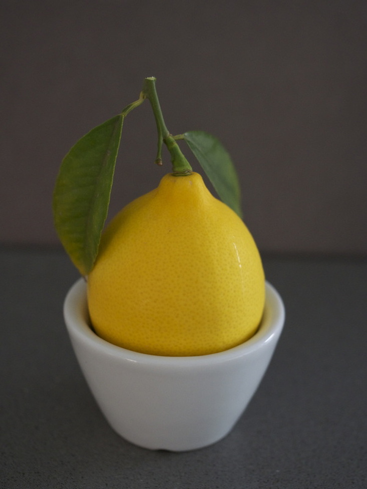 Lemon in white cup, still life by Liz Posmyk, Good Things