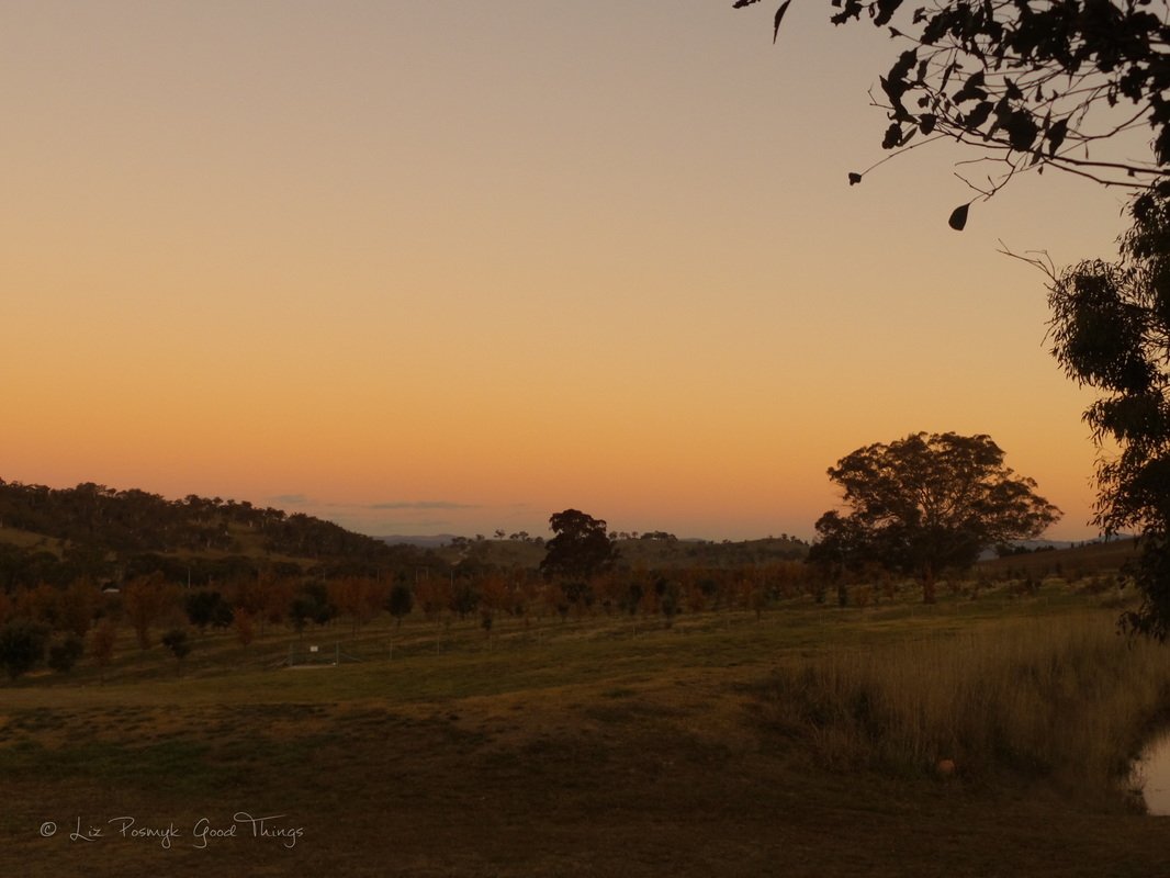 The sun sets at French Black Truffles of Canberra 
