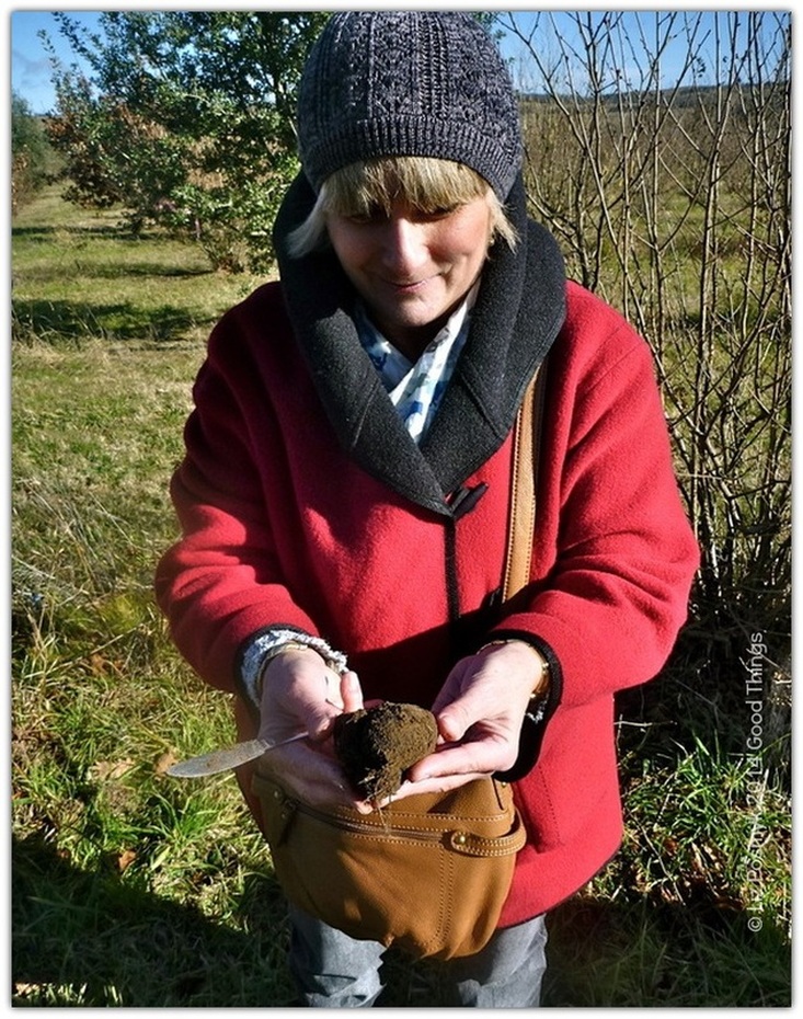 Bizzy Lizzy finds her first truffle, image courtesy Good Things
