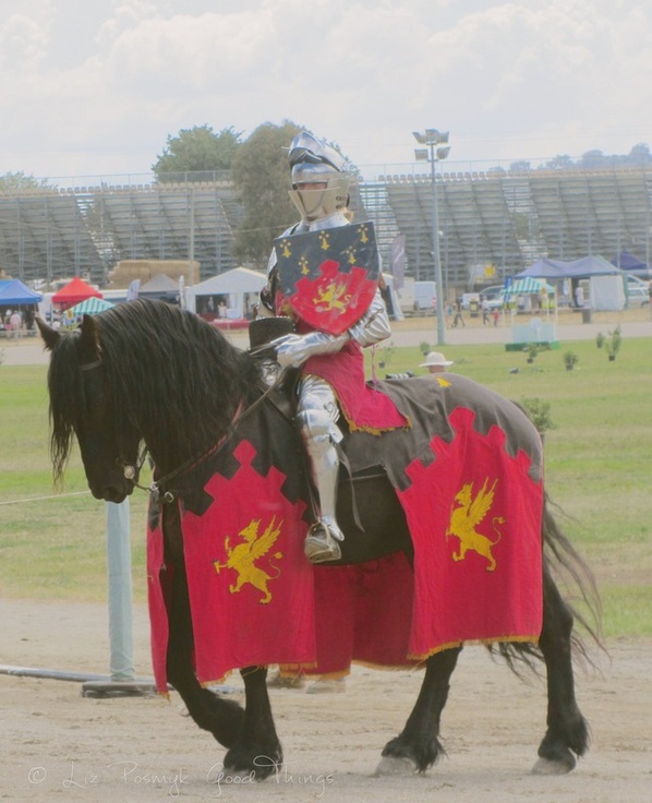 Full Tilt Jousting knight in shining armour