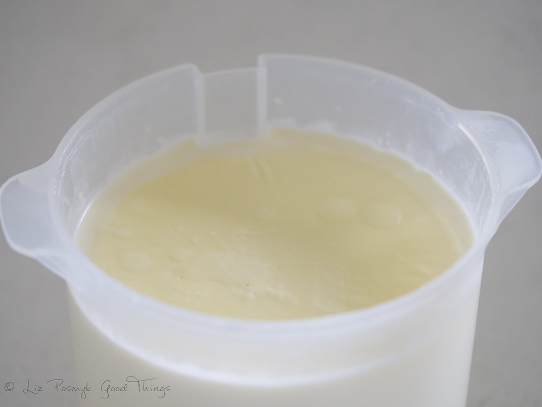 The mascarpone after incubation by Liz Posmyk Good Things 