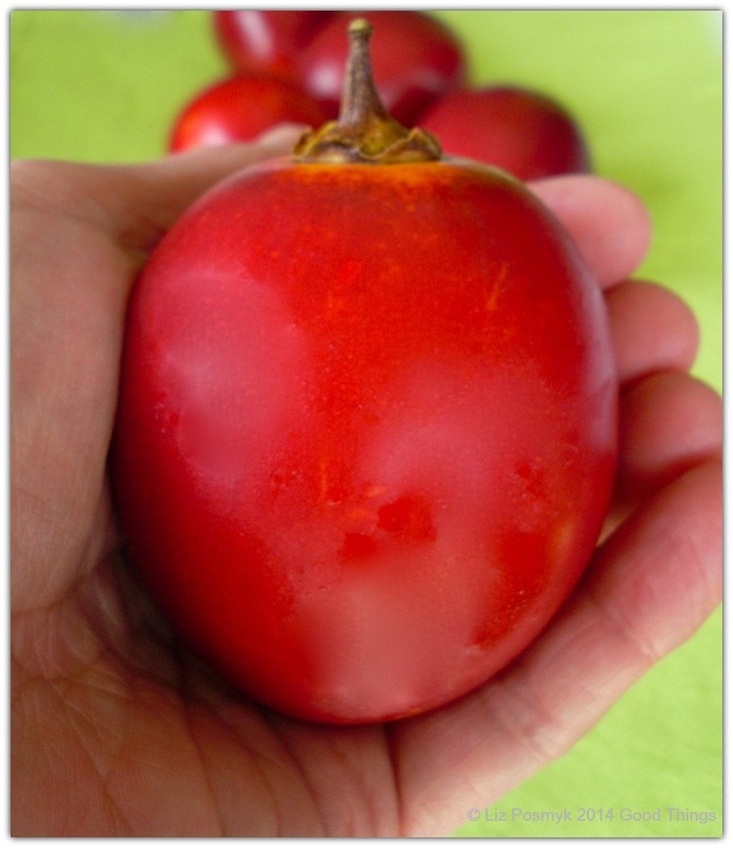 Tamarillos or tree tomatoes