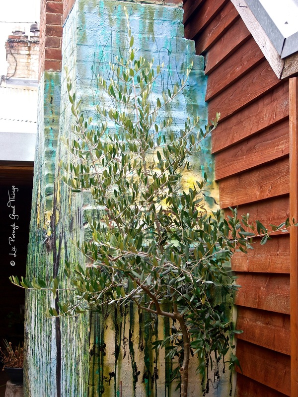 Olive tree beside the painted chimney - Crowes Restaurant Gundaroo