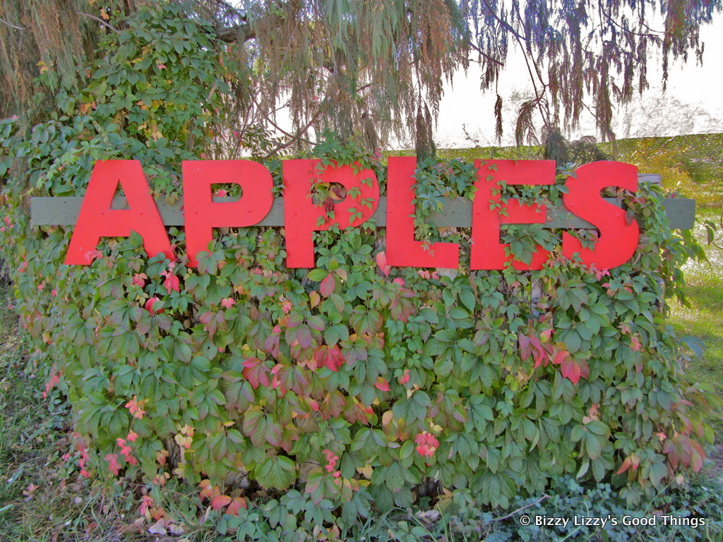 Apple sign in the orchards at Pialligo in the ACT by Liz Posmyk, Good Things