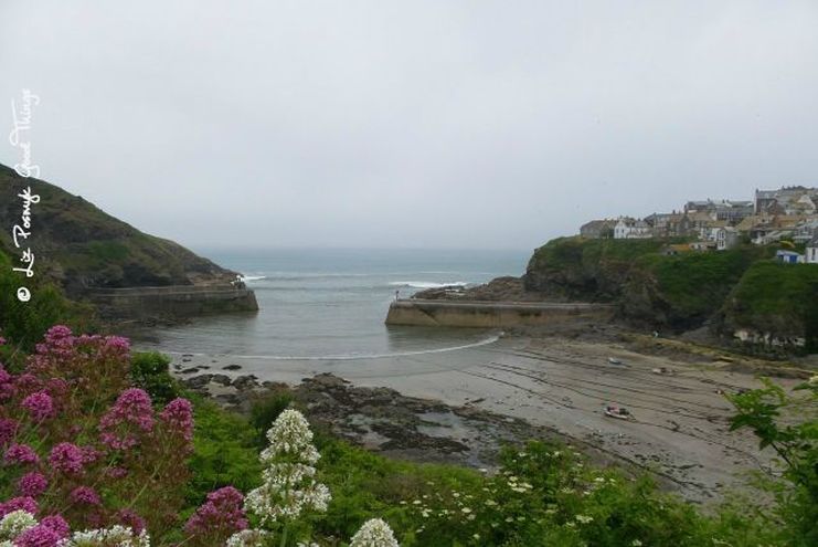 The pretty little bay at Port Isaac in Cornwall by Liz Posmyk, Good Things
