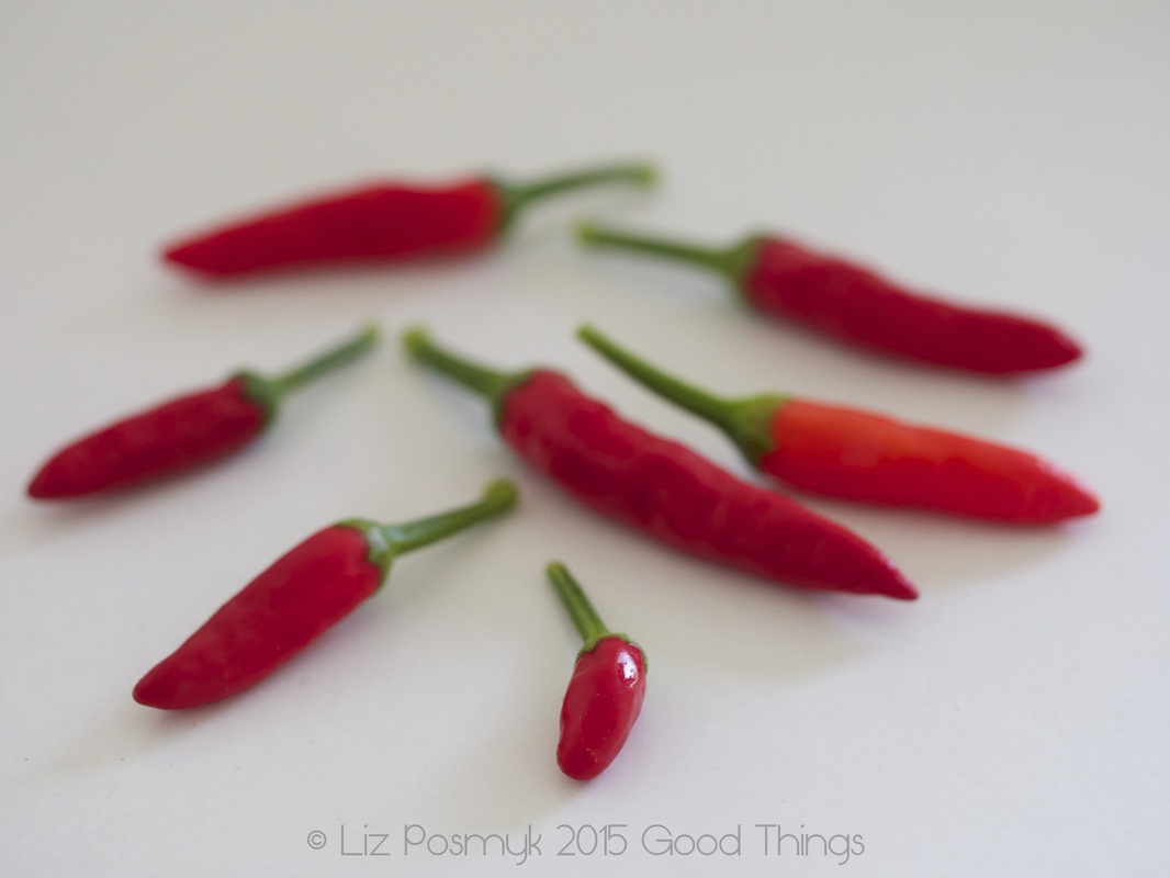 Home grown chillies by Good Things 