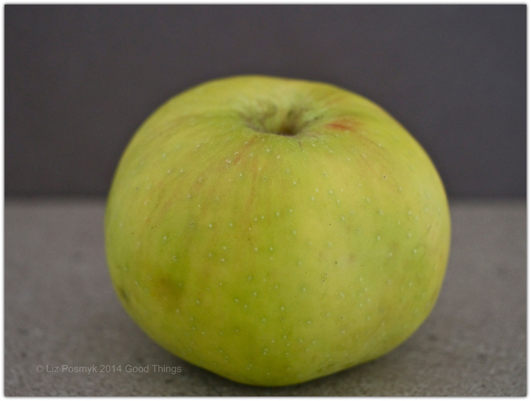 Bramley apple by Liz Posmyk
