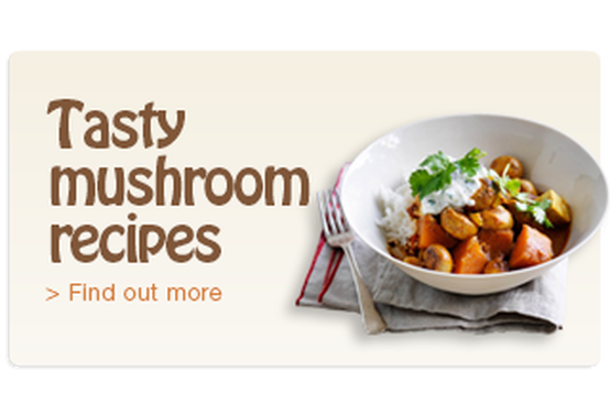 Tasty Mushroom Recipes from the Power of Mushrooms