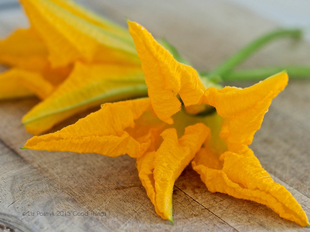 Male zucchini flowers - and cooking with zucchini blossoms by Good Things 