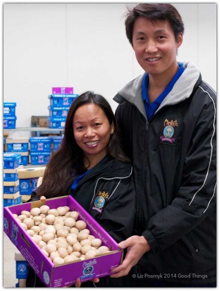 Helen and Ian Chu of Majestic Mushrooms by Liz Posmyk