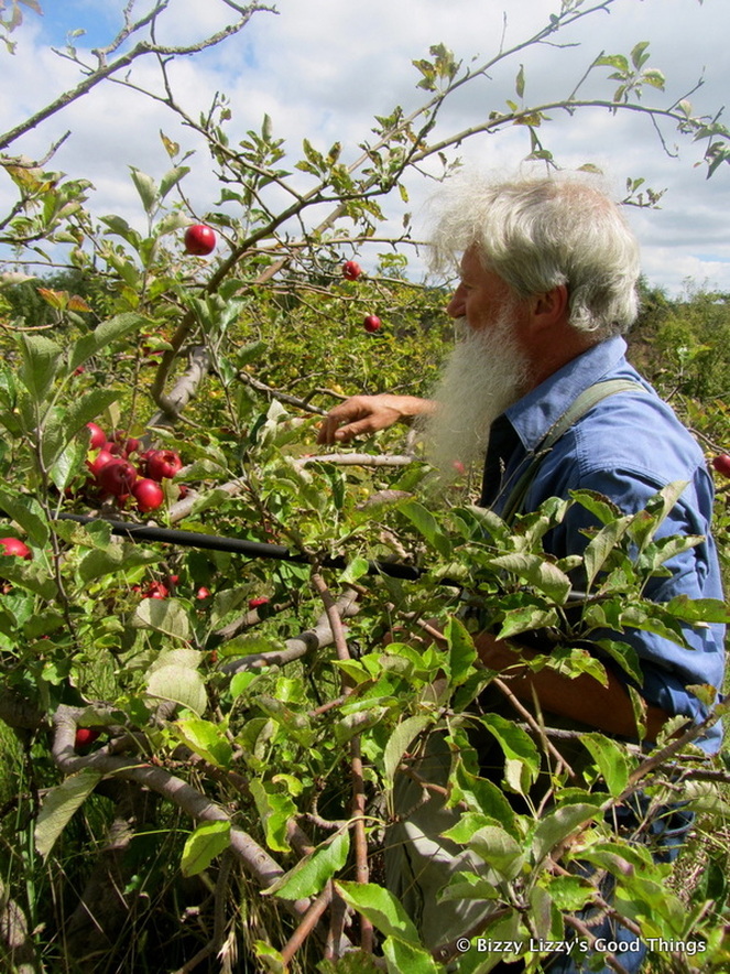 Dr Jonathan Banks in his orchard by Liz Posmyk
