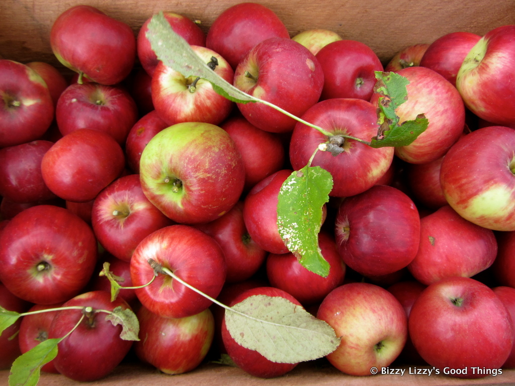 Crisp red apples at Pialligo Apples by Liz Posmyk