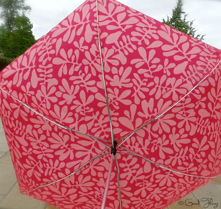 Umbrella on a rainy day in Bath UK by Liz Posmyk Good Things 