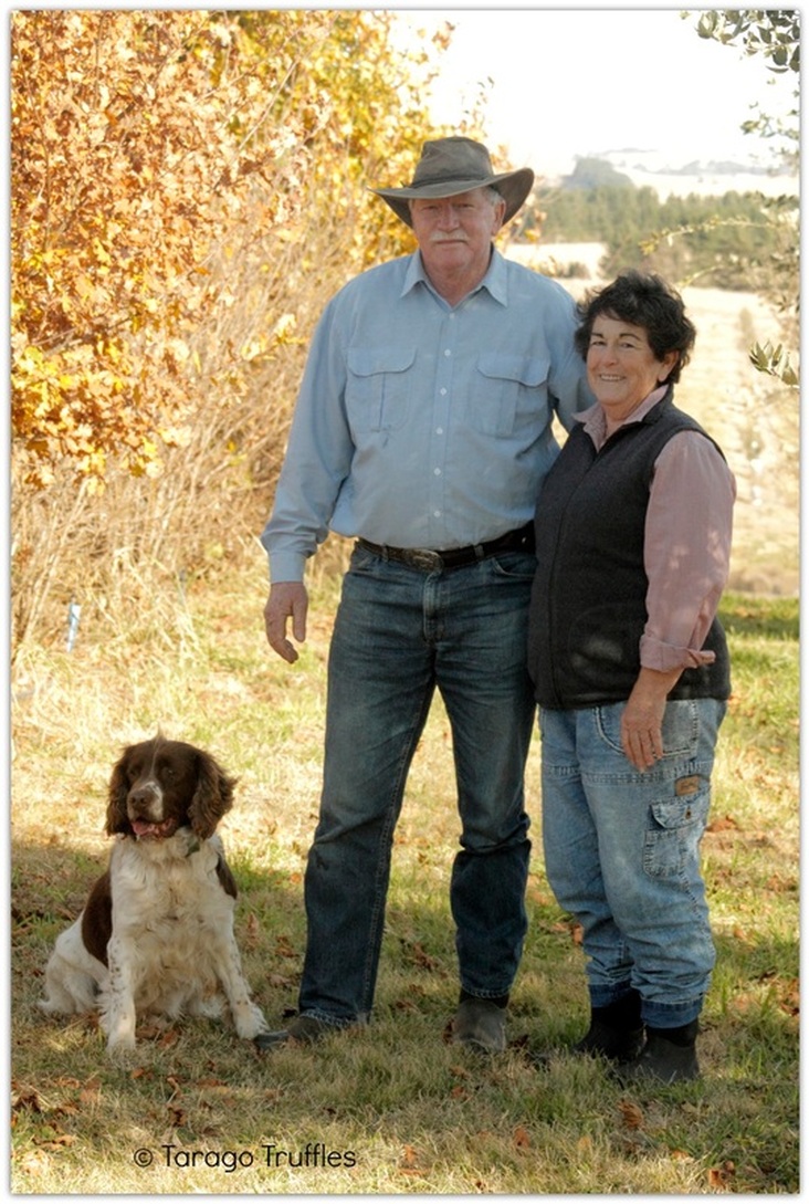 Denzil and Anne Sturgiss with truffle dog Tom at Tarago Truffles