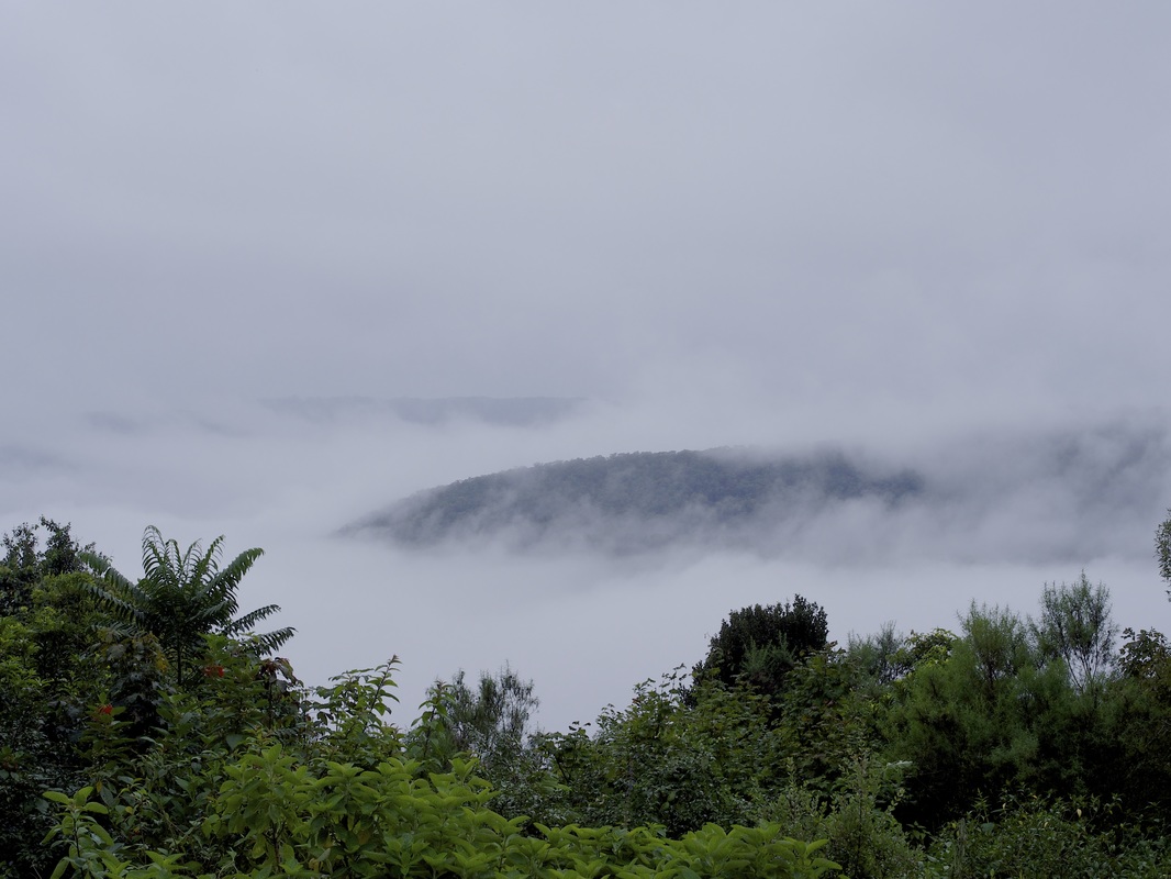 The mist rolls in over the Kangaroo Valley escarpment 