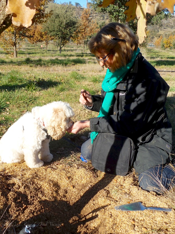 Sherry McArdle-English and Snuffle French Black Truffles of Canberra 