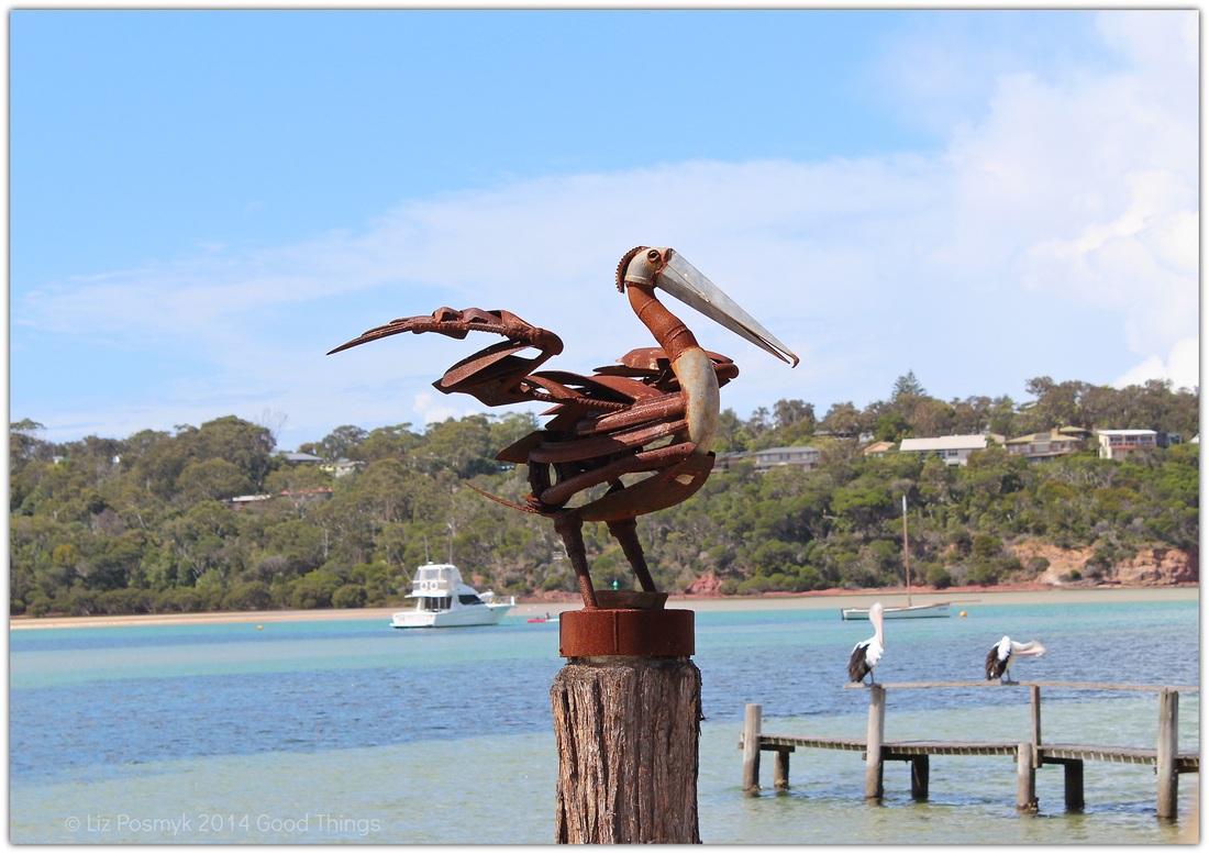 Pelicans at Fishpen Sapphire Coast NSW by Liz Posmyk