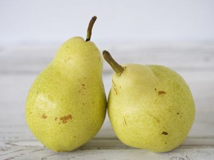 Williams Pears - photo Liz Posmyk Good Things 