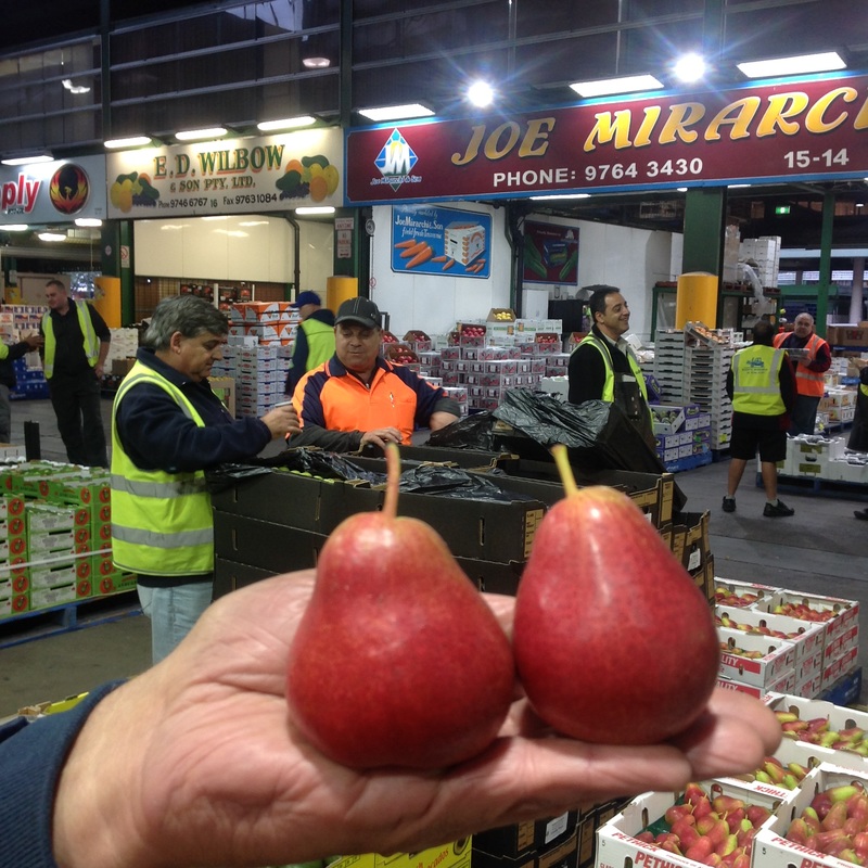 Corella pears and greengrocers at the Sydney Markets 