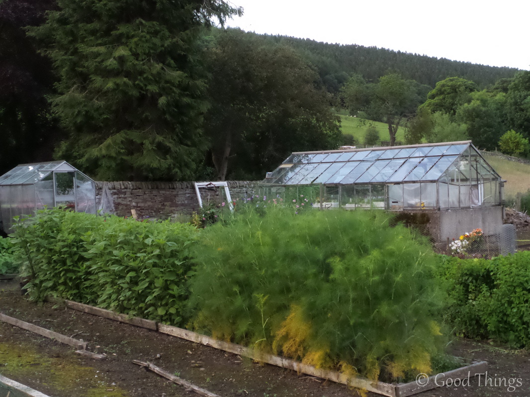 The flourishing kitchen garden at the Lord Crewe Arms in Blanchland County Durham - photo Liz Posmyk Good Things