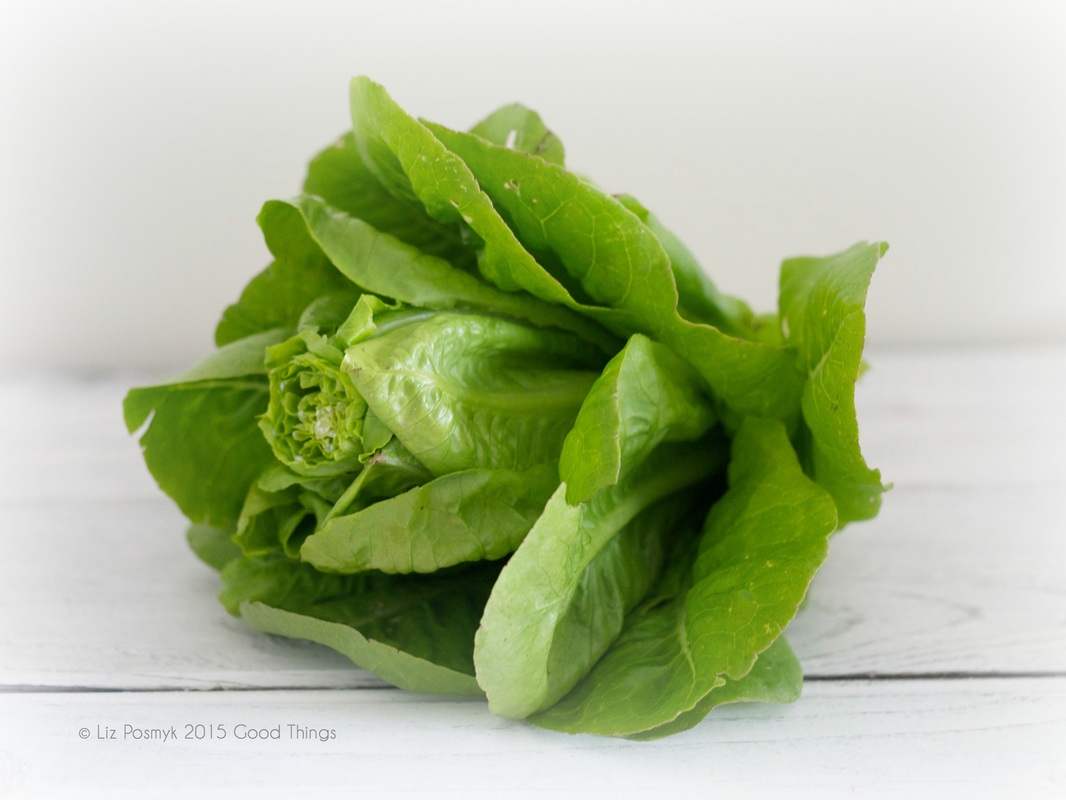 Baby cos lettuce from the kitchen garden by Good Things