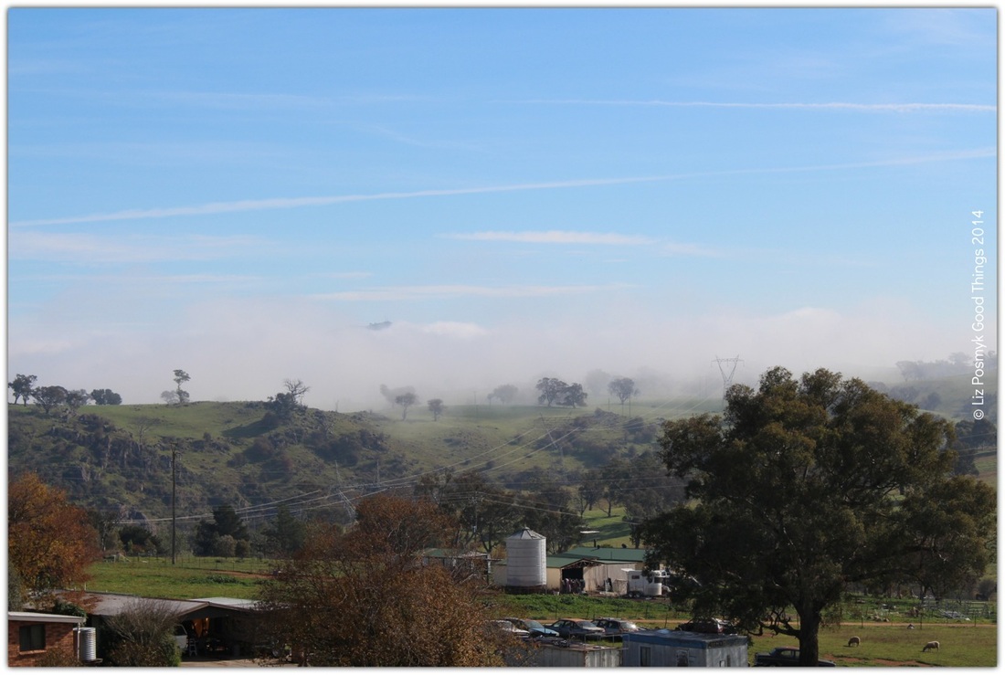 Rural vistas on a winter's morning from Canberra Mushrooms in Yass