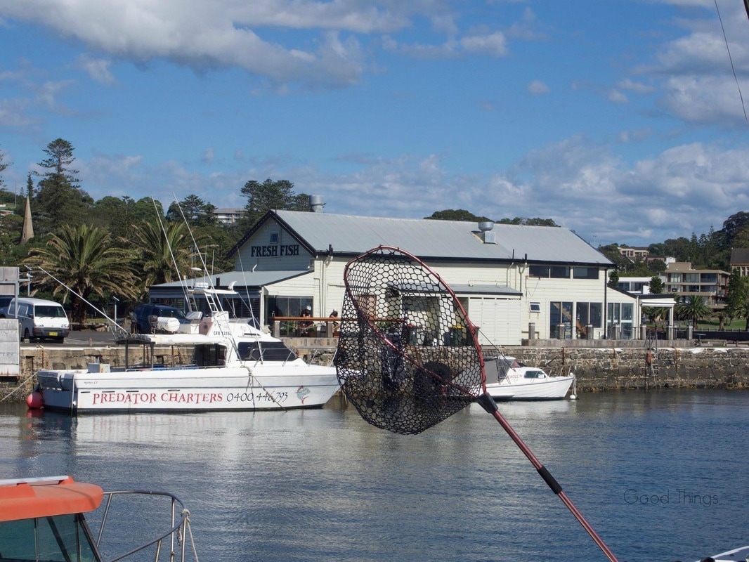 Fisherman's basket at the Kiama Harbour in NSW - Liz Posmyk Good Things
