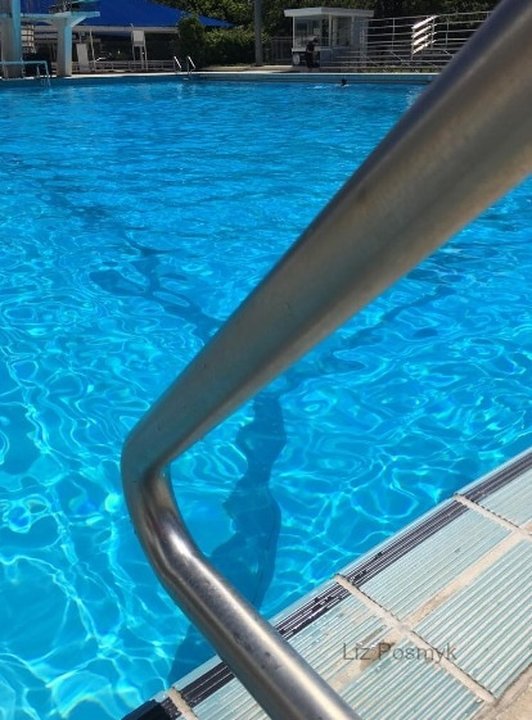 Hand rail leading to the dive pool at the Canberra Olympic Pool - Liz Posmyk 