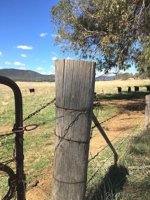 Old farm gate and post on Well Station Track - Liz Posmyk Good Things