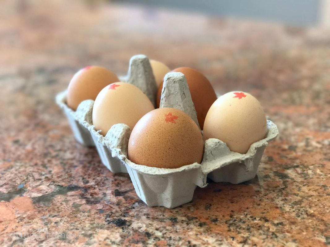 Fresh free-range eggs from Redleaf Farm - photo Liz Posmyk Good Things 