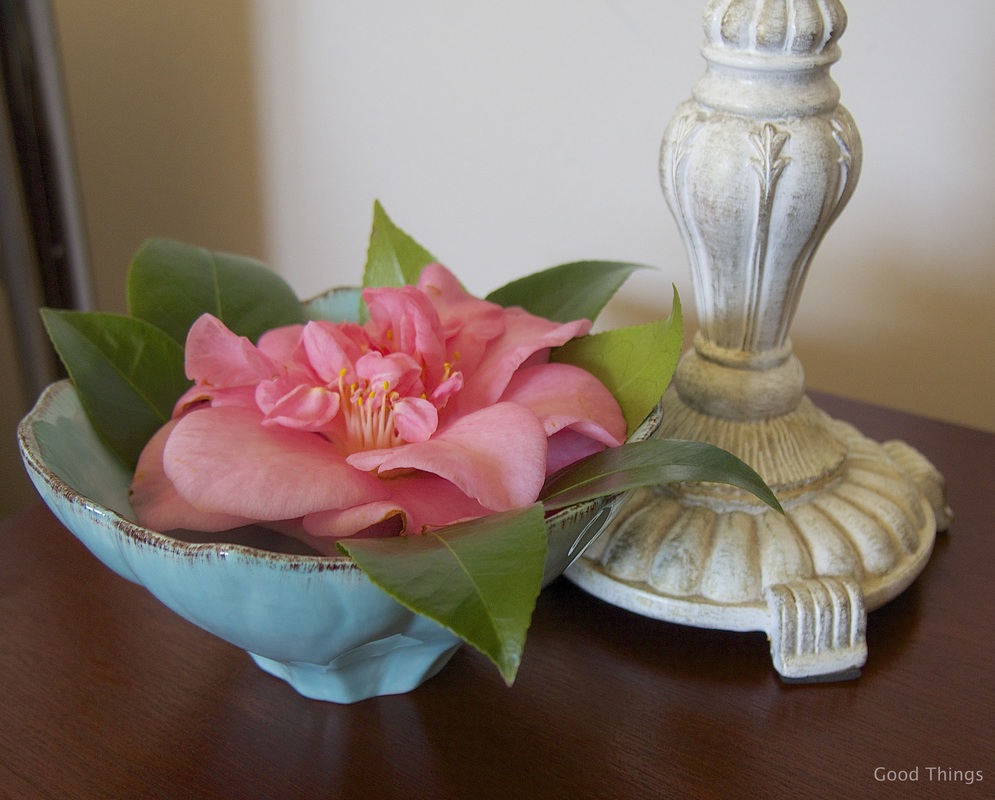 Fresh camellia in a bowl on the bedside table t Laurel View farm stay in the NSW Southern Highlands by Liz Posmyk Good Things