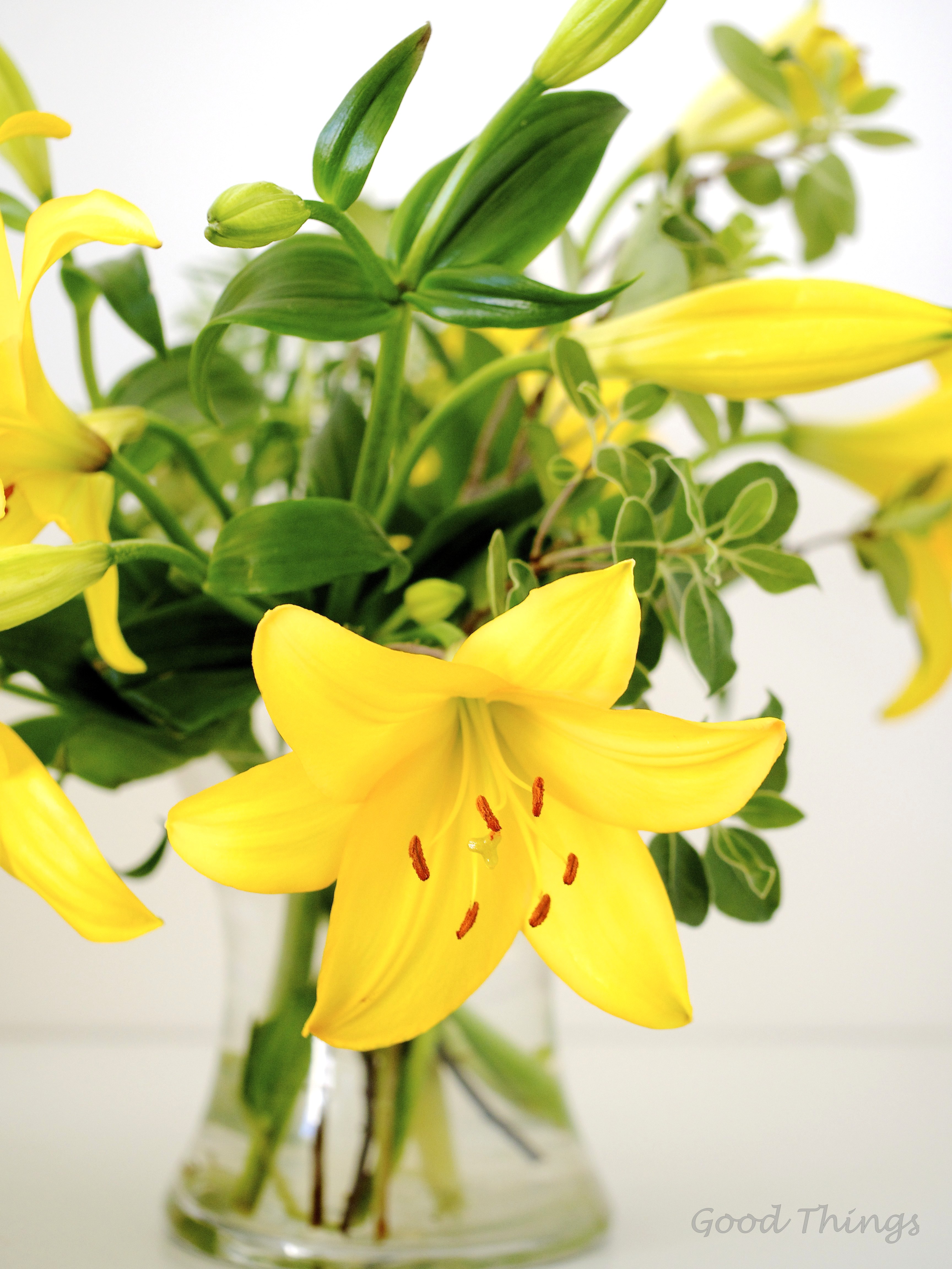 Yellow lilies from Aldi  - Liz Posmyk, Good Things