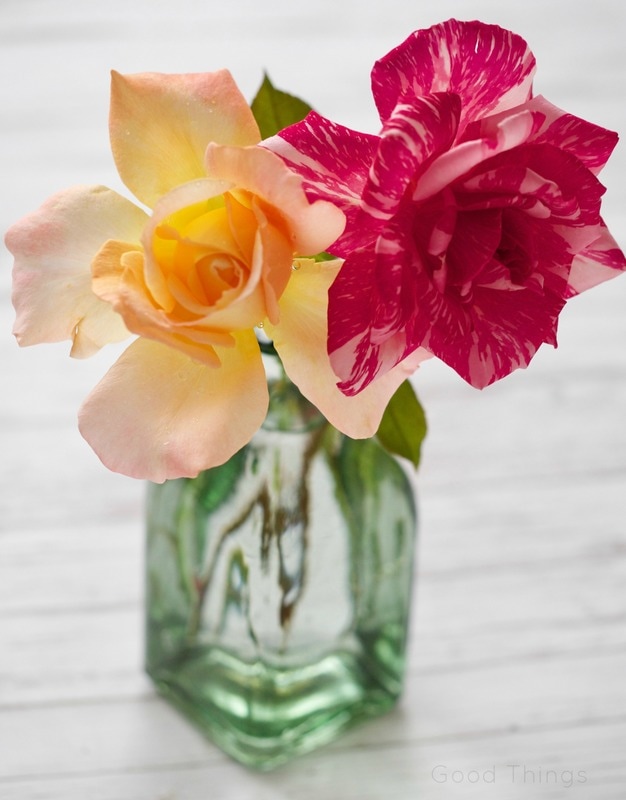 Roses in a vase - Liz Posmyk Good Things